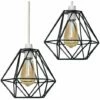 MINISUN 2 X Metal Basket Cage Ceiling Pendant Light Shades - Black - No Bulb -MINISUN Shop 8743959 1