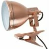 MINISUN Metal Domed Adjustable Clip On Spotlight With A Cool White 4W Golfball LED - Copper -MINISUN Shop 8745437 1
