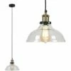 MINISUN Wallace Industrial Ceiling Light - No Bulb -MINISUN Shop 8746985 1