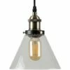 MINISUN Norton Industrial Ceiling Light - No Bulb -MINISUN Shop 8748022 1